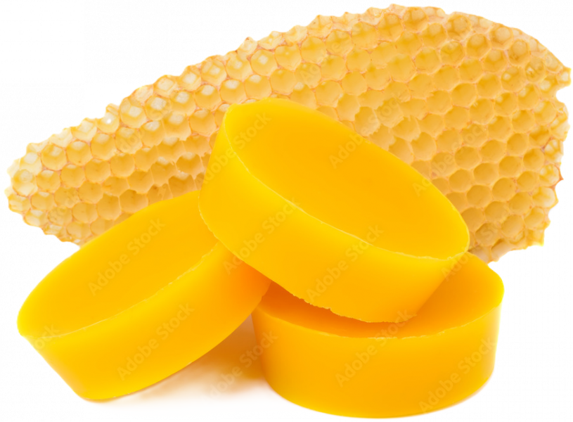 AdobeStock_194865479_Preview